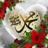 ابو علاء الدين 的头像