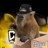 Capybara Takeover's profile picture