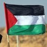 M_Malek's profile picture