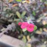 莒县荆啊 profil fotoğrafı