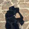 Profilbild von ريـناد الكـندي