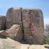 Zhang profil fotoğrafı