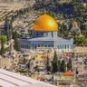 Фото профиля الربيع العربي
