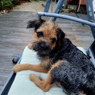 Marin Philohom's profile picture