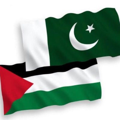 ZubairKBalouch's profile picture