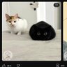 Fredo21 profil fotoğrafı