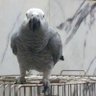 Sabah hamad's profile picture