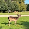 Faz's profile picture