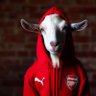 Profilbild von Ahewo boys recruiter general โช๐ด