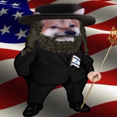 LernerIsaak's profile picture