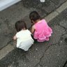 なつぼっくり profil fotoğrafı