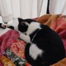 ひな 的头像