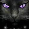 Profilbild von Darlene Buck