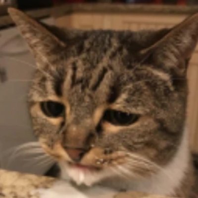 mac's profile picture