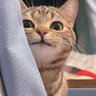 flopper's profile picture