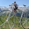 OneSpeed profil fotoğrafı
