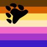 ShyBiBear's profile picture