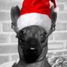 Profilbild von Antony