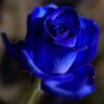 Фото профиля María