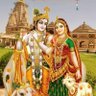 Yogesh's profile picture