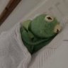 💤 的头像