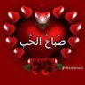 Фото профиля علي قلبي