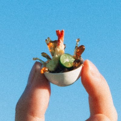 TEMPLIME's profile picture