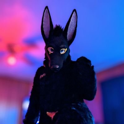 knotty_jackal's profile picture