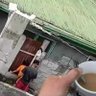 ko gyi profil fotoğrafı