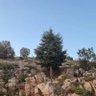 Фото профиля Shivan