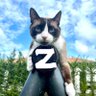 🇫🇷Cyrillus🌿 profil fotoğrafı