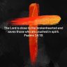 Фото профиля Jaimer_67 🇺🇸🇮🇱✝️