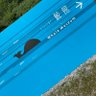 あーる🐳✨ profil fotoğrafı