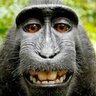 Profilbild von jgold1957