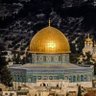 Фото профиля محمود الهام