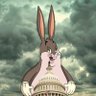 Chungus 的头像