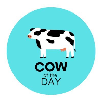 Cow of the Day🐮's profile picture