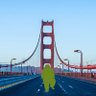Golden Gate Groyper profil fotoğrafı