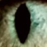 Profilbild von IHool