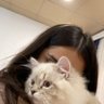 Di's profile picture
