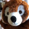 AWM's profile picture