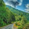 Chomarsara profil fotoğrafı