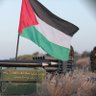 ODAY PALESTINE profil fotoğrafı
