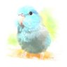 みぃ's profile picture