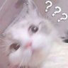 Profilbild von Tayon Kinall