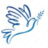 Yona “Education Shifts Power” Nestel's profile picture