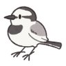 wagtail's profile picture