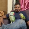 manishpise profil fotoğrafı