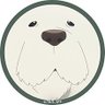 Profilbild von あっきぃ