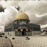 ǟɦʍɛɖ |Free Palestine 🇵🇸🇴🇲's profile picture
